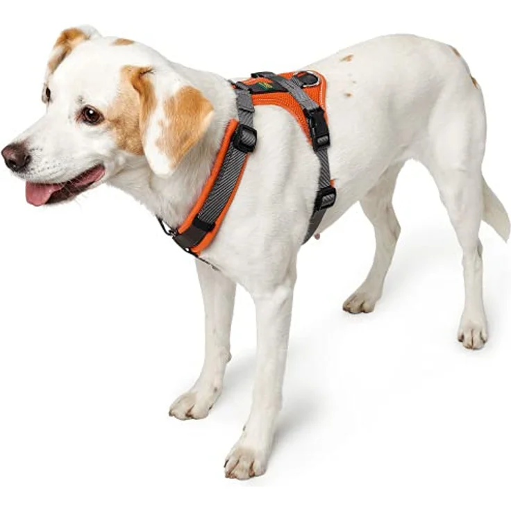 Hunter Hunde-Geschirr Maldon orange-grau XS – Bild 4