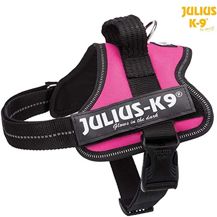Julius-K9® Powergeschirr Baby & Mini blau Mini (M) – Bild 2