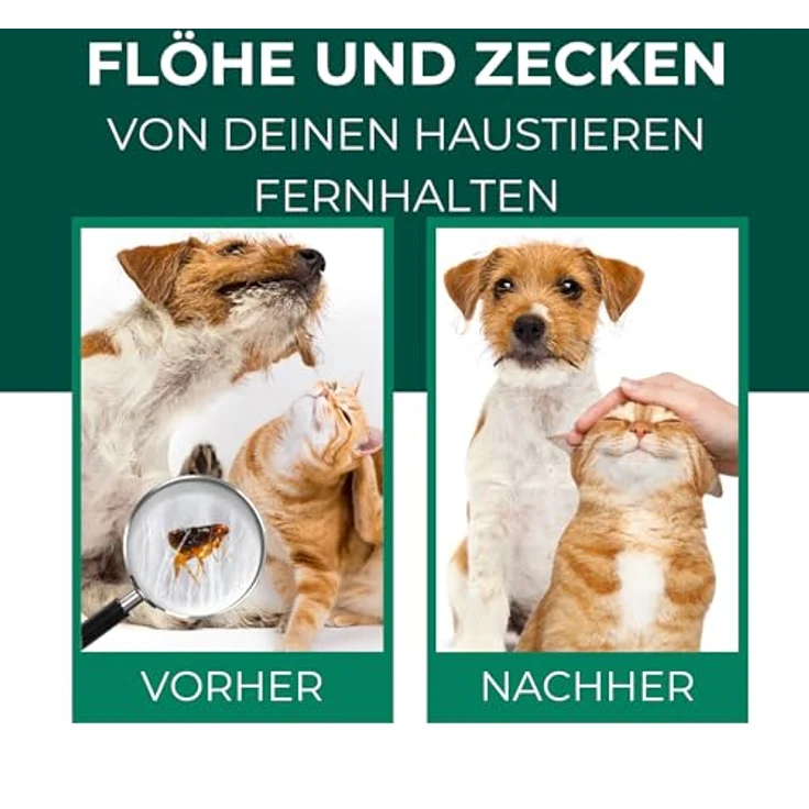 Silberkraft Floh- & Zeckenspray für Hunde und Katzen, 250 ml, mit Zitronen-Eukalyptus-Öl, effektives Repellent – Bild 2