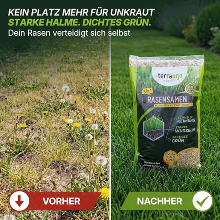 Terrauno Turbo Rasensamen, schnellkeimend für Nachsaat, extrem hohe Keimrate, 1 kg für 50 m², trockenresistent, RSM Qualität – Bild 4