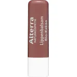 Alterra Lippenbalsam Bio-Kakao – mit Bio-Sheabutter & Kakaobutter, bronzener Schimmer, natürlicher Duft, zertifizierte Naturkosmetik