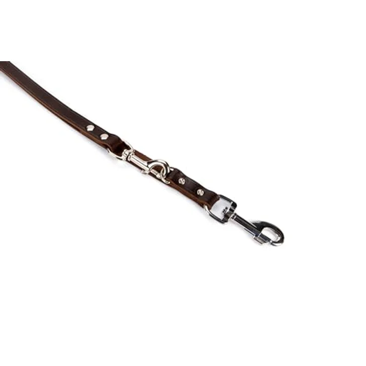 Karlie Rodeo (M, Hund, Spazieren), Halsband + Leine – Bild 3