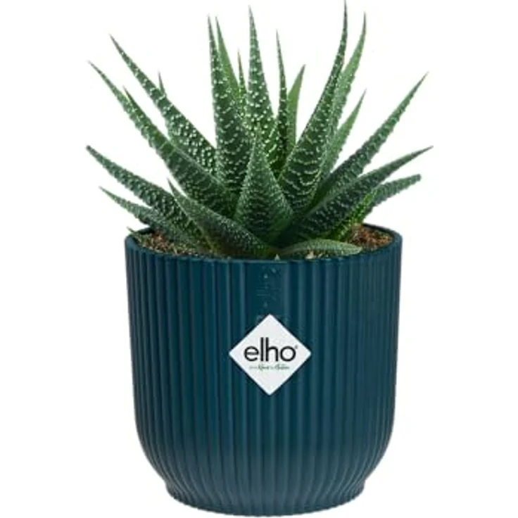 elho Vibes Fold Rund Mini 7 Pflanzentopf - Blumentopf für Innen - 100% recyceltem Plastik - Ø 7.0 x H 6.5 cm - Blau/Tiefes Blau – Bild 3