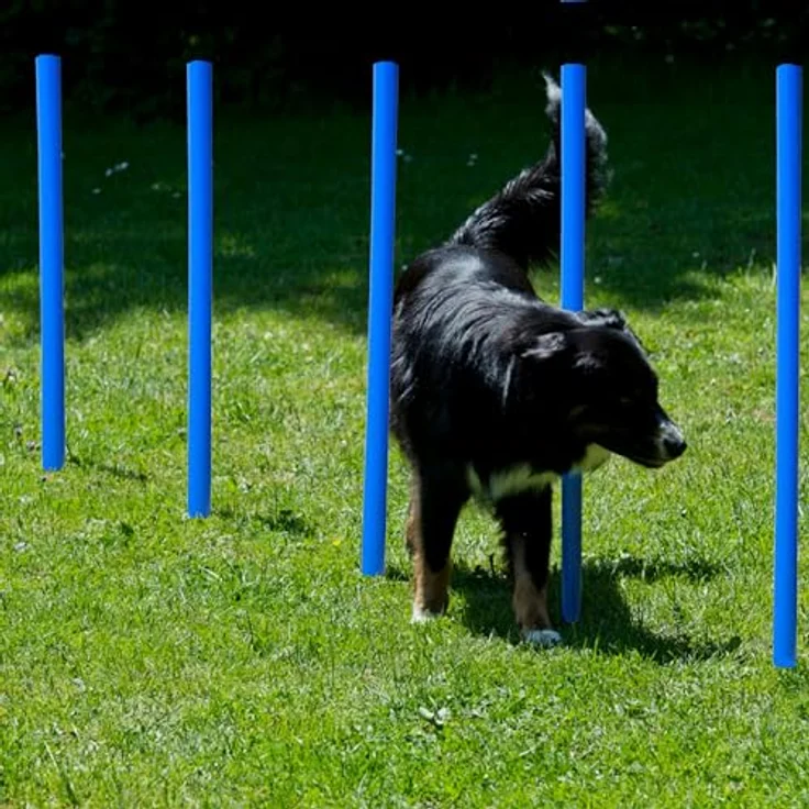Hundetrainingsset, 12 Slalomstangen, Agility-Set für Hunde, Hundesport – Bild 5