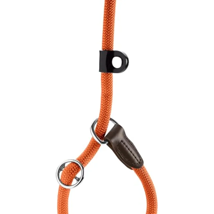 HUNTER Retriever-Leine Freestyle (orange, 10/120) mit stufenlos verstellbarer Halsung – Bild 3