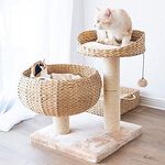 Kratzbaum Banana Leaf mit Natur-Sisal - Kletterbaum für Katzen, Sisalsäule mit 8 cm Durchmesser, Höhe 55 cm, beige