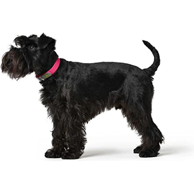 HUNTER CONVENIENCE Hundehalsband, Kunststoffmaterial, 50 M, himbeer, verstellbar, für Hundetraining und Ausbildung, wasser- und schmutzabweisend – Bild 3