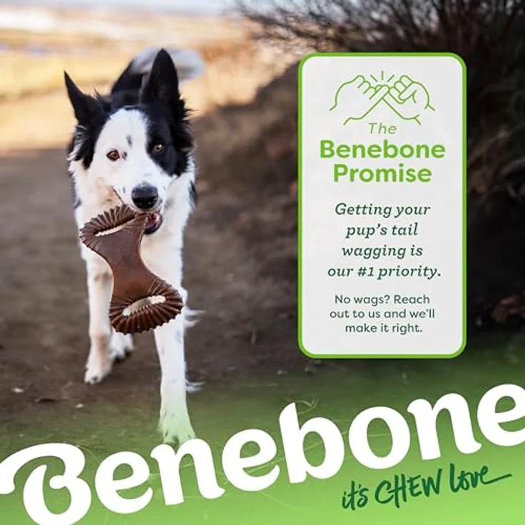 Benebone Dental Chew Bacon M 19cm - Hundespielzeug mit zahnreinigender Wirkung, Marke Benebone – Bild 7
