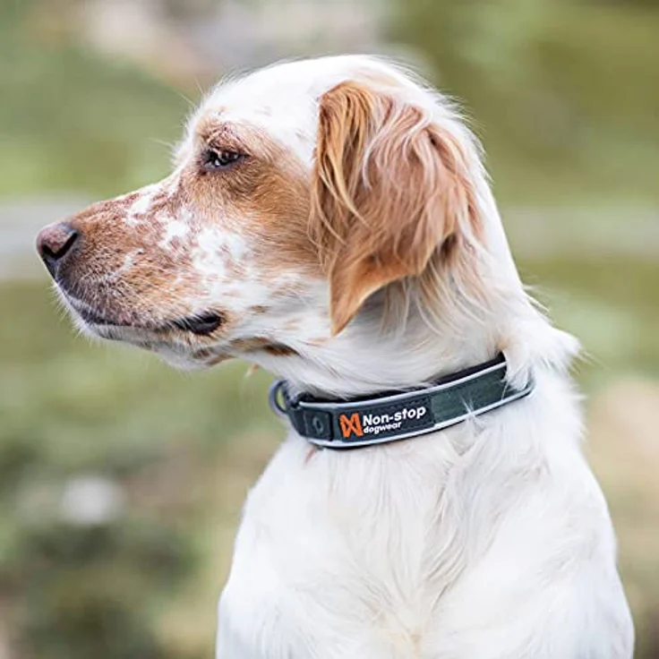Non-stop dogwear ROAM Collar, solides gepolstertes Halsband für jede Aktivität, Größe M, Grün – Bild 3