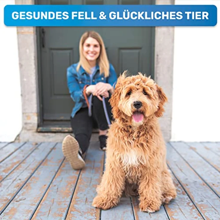BluePet UnterwollToll Hundebürste & Katzenbürste für langhaar | Unterwollkamm entfernt Unterwolle & Verfilzungen | Massageffekt & Deckhaarschutz | Fellbürste – Bild 4