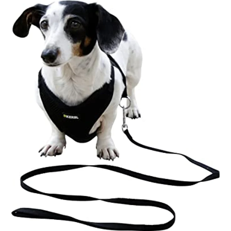 Welpengeschirr mit Leine, schwarz, 30 - 50 cm/10 mm – Bild 1