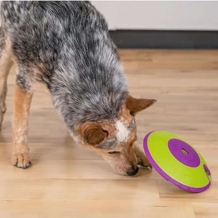 Outward Hound Nina Ottosson Treat Maze - Interaktives Hundespielzeug für Leckerlis - Aufbau-Level – Bild 5