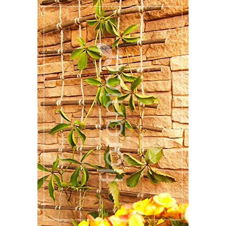 Floranica Rankhilfe Rankgitter für Kletterpflanzen Länge 150cm Breite 30cm Naturweide Ökologische Schnur und Jutesack Stütze für Rosen Kletterpflanzen Gemüse Reben – Bild 5
