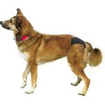 Trixie Schutzhöschen schwarz XL: 60-70 cm