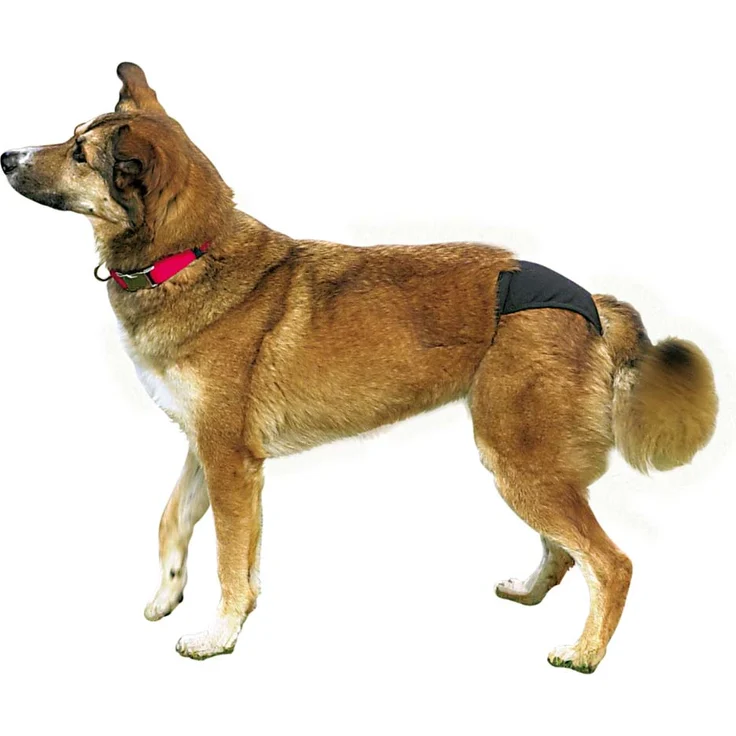 Trixie Schutzhöschen schwarz XL: 60-70 cm – Bild 1