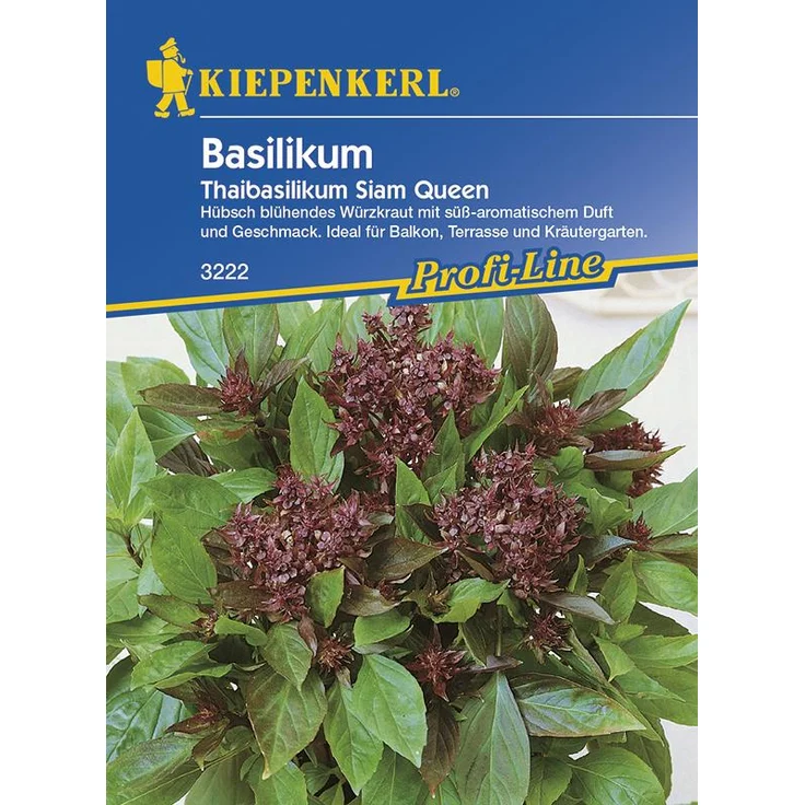 Kiepenkerl Basilikum Thaibasilikum Siam Queen, Ocimum basilicum, Inhalt: ca. 150 Pflanzen – Bild 4