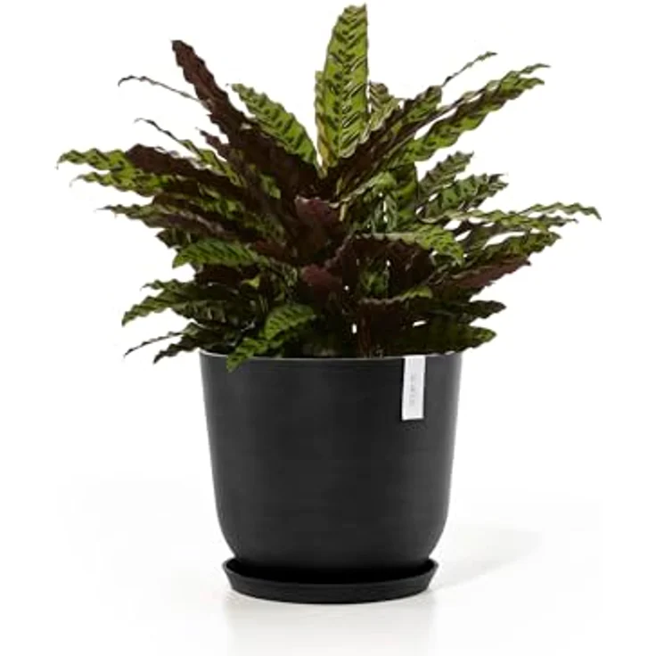 Ecopots Decolines 45 cm Ø Schwarze Kunststoff-Blumentöpfe | Wetterfeste Blumentöpfe für den Außenbereich, geeignet als Balkon- und Terrassentöpfe | Aus recyceltem Kunststoff, designed für 10 Jahre Nutzung – Bild 8