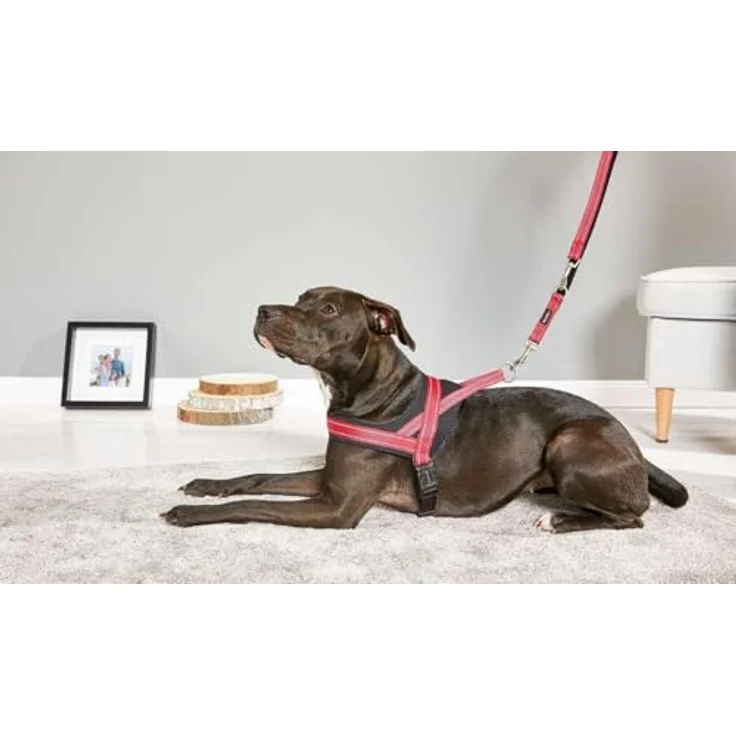 Wolters Hunde-Geschirr Soft & Safe, verstellbares Hundegeschirr für Hunde, minimal 28 cm, maximal 35 cm Brustgurt – Bild 5