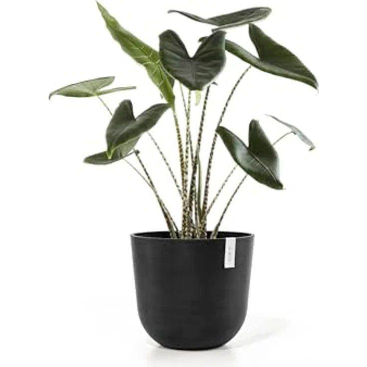 Ecopots Decolines 45 cm Ø Schwarze Kunststoff-Blumentöpfe | Wetterfeste Blumentöpfe für den Außenbereich, geeignet als Balkon- und Terrassentöpfe | Aus recyceltem Kunststoff, designed für 10 Jahre Nutzung – Bild 5