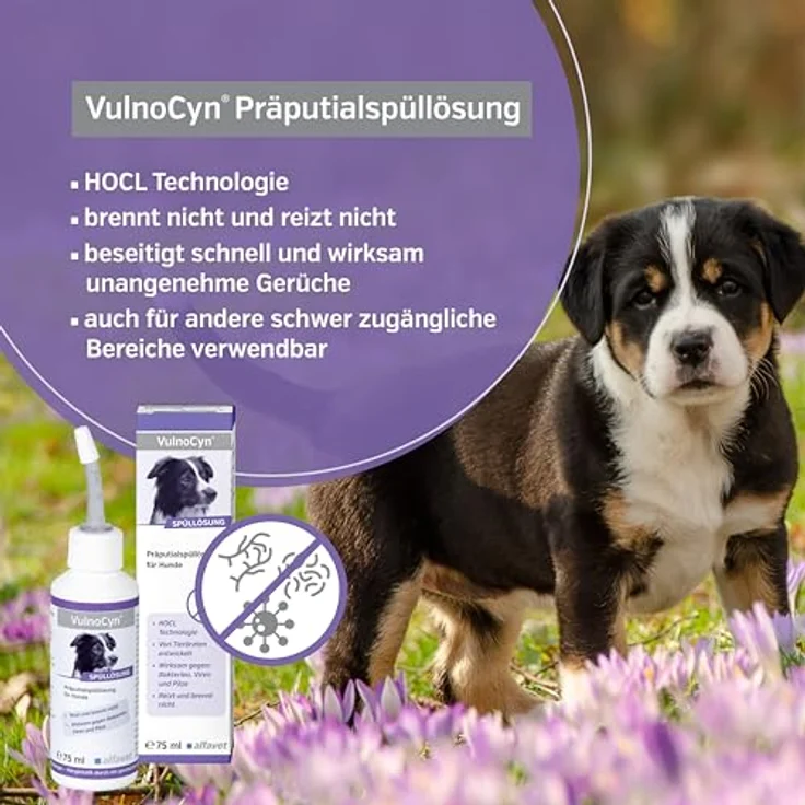 Alfavet VulnoCyn Präputialspüllösung, Vorhautspülung für Rüden, Pumpsray 75 ml – Bild 3