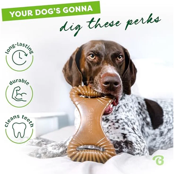 Benebone Dental Chew Bacon M 19cm - Hundespielzeug mit zahnreinigender Wirkung, Marke Benebone – Bild 4