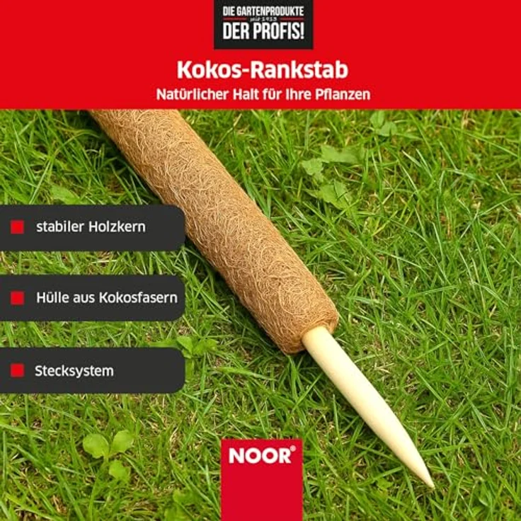 NOOR Kokos-Rankhilfe mit Holzstiel, verlängerbare Pflanzhilfe aus 100% Naturmaterial, stabile Kletterhilfe für Pflanzen, Kokosstab 150 x 7 cm Ø – Bild 3