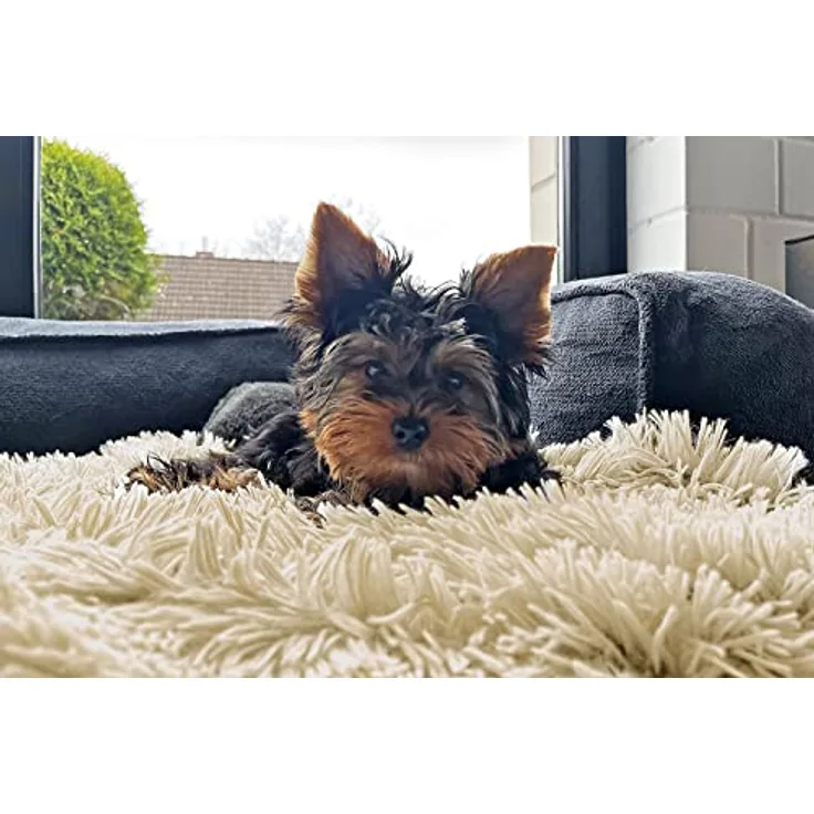 tierlando® Hundeliegedecke Shary kuschelige Zottelplüsch Hundematte aus flauschigem Hochfloor/Langfloor Hundedecke A Größe: S (60x45 cm) | B Farbe: 14 Beige