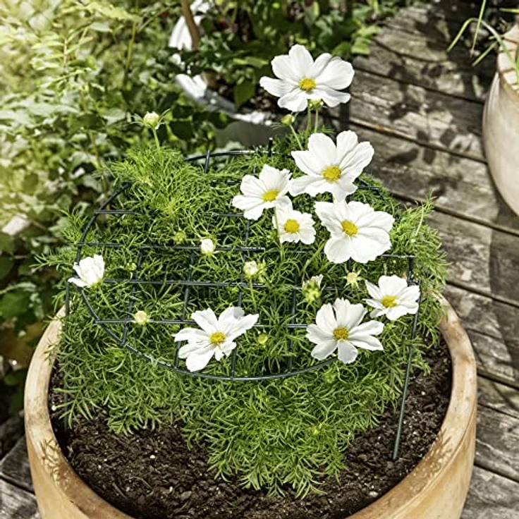 Windhager Blumen Stützgitter, Pflanzenstütze, Rankhilfe, Blumenstütze, Gitterspalier, Rankgitter, Ø35 x 60cm, grün, 07280 – Bild 3