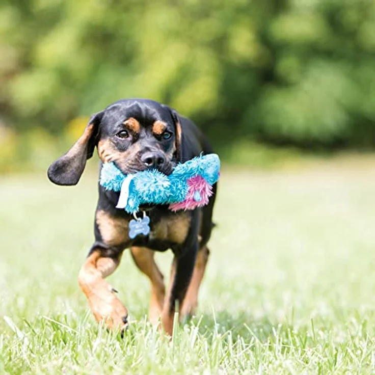 KONG – Cozie Marvin Moose – Quietschendes Hundeplüschtier für Drinnen – Für Sehr Große Hunde – Bild 3