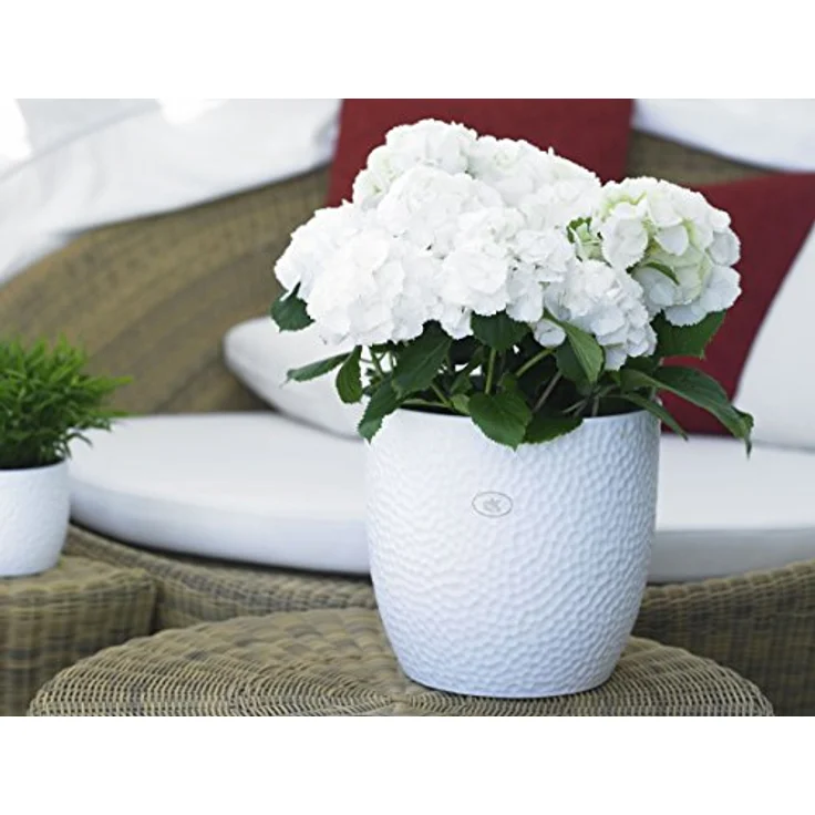 Soendgen Keramik Blumenübertopf, Boston, weiß, 24 x 24 x 23 cm, 100% wasserdicht, für gängige Kulturtöpfe – Bild 2