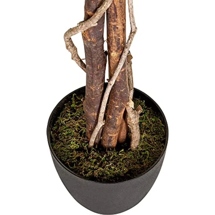 hjh OFFICE Kunstpflanze FICUS Benjamini Höhe 165 cm Grün/Weiß 1008 Blätter Deko Zimmerpflanze Birkenfeige künstlich, 871000 – Bild 3