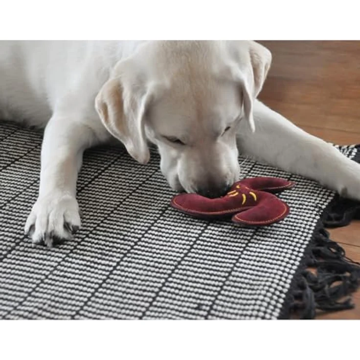 Aumüller Hundespielzeug aus Leder - Wurfstern, dunkelrot – Bild 2