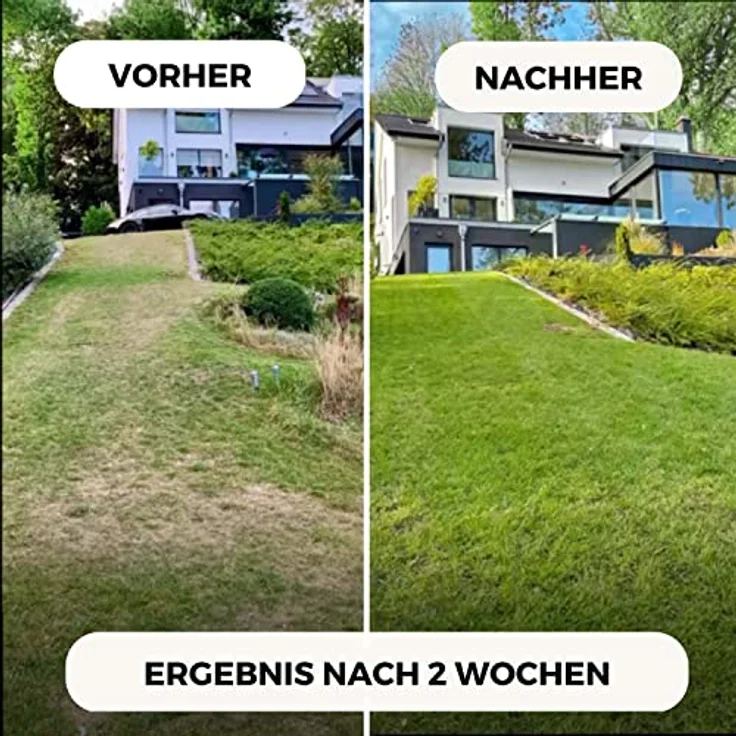 TerraUno - Rasendünger Frühjahr/Sommer I Langzeitdünger Rasen für 100 Tage I 20 kg für 1000 m² I Optimale Nährstoffe zum Vorbeugen von Trockenstress I NPK Dünger Rasen I Streuwagen geeignet – Bild 2