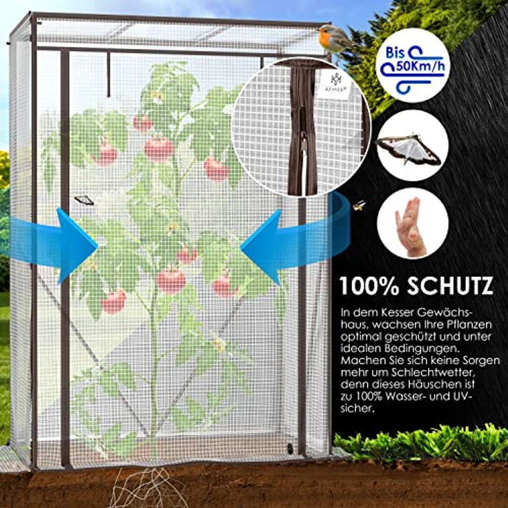 KESSER Premium Tomatengewächshaus Foliengewächshaus, Gewächshaus klein, Tomatenhaus, Treibhaus mit Tür zum Aufrollen - 100 x 50 x 150 cm Frühbeet, Gemüse, Blumen, Obst, Garten Transparent, 100 x 50 x 150 cm - Preisvergleich – Bild 3