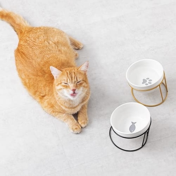 Keramik-Katzennäpfe Erhöht – 4 Sets Mit Metallständer, Spülmaschinengeeignet