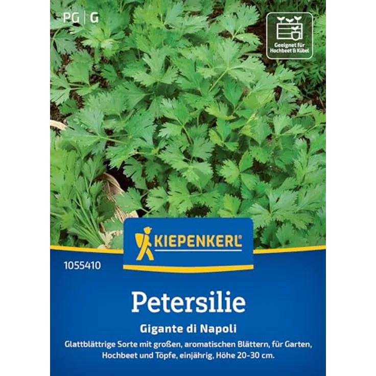 Kiepenkerl Petersilie Gigante di Napoli, wüchsige Blattpetersilie mit großen Blättern, vitaminreich und krankheitsresistent
