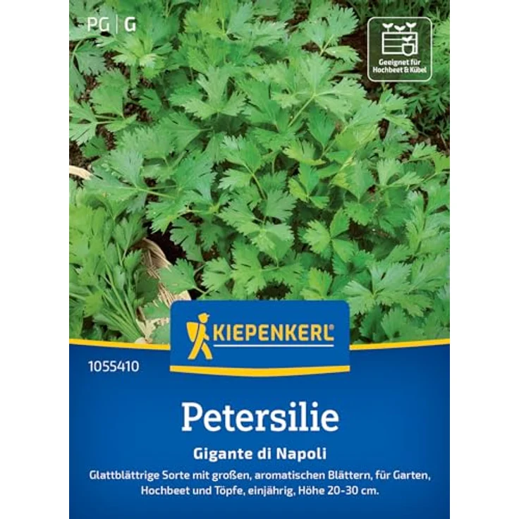 Kiepenkerl Petersilie Gigante di Napoli, wüchsige Blattpetersilie mit großen Blättern, vitaminreich und krankheitsresistent – Bild 1