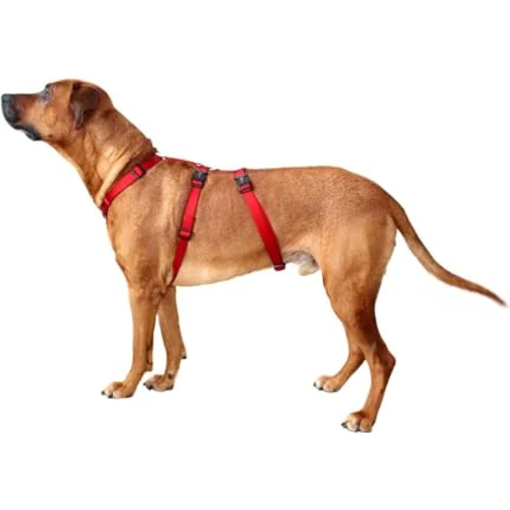 Wolters Hunde-Sicherheitsgeschirr Professional No Escape, ausbruchsicheres Geschirr mit optimaler Passform, Größe S bis XL – Bild 3