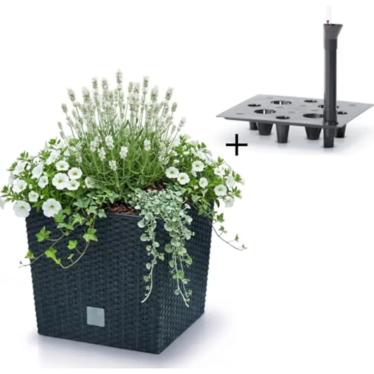 Prosperplast Blumentopf mit Einsatz und Bewässerungssystem, wetterfest und UV-beständig, anthrazit, robust aus Kunststoff, 26,2 x 26,2 x 26,6 cm