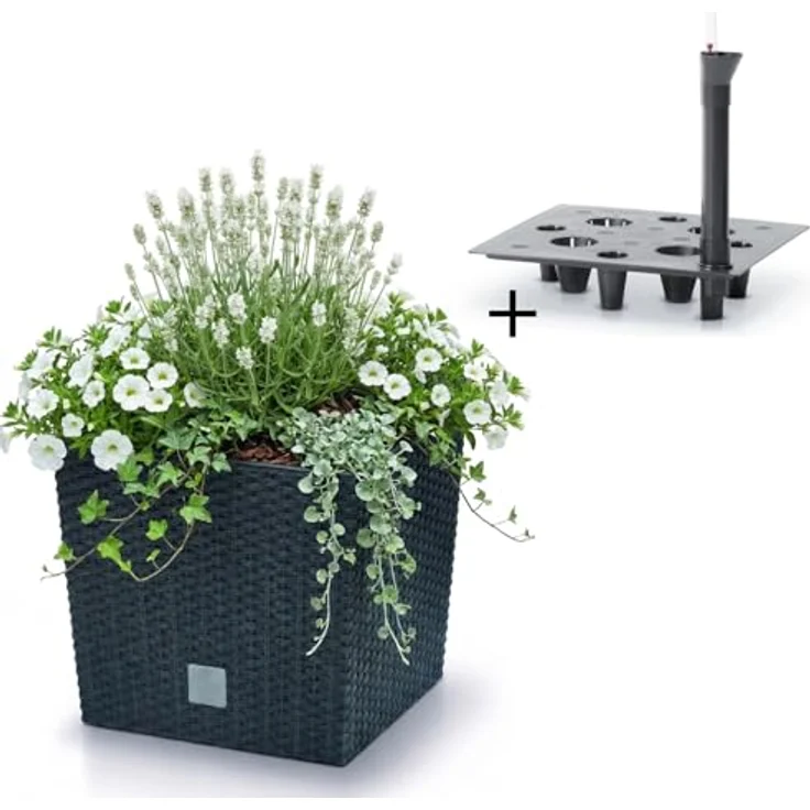 Prosperplast Blumentopf mit Einsatz und Bewässerungssystem, wetterfest und UV-beständig, anthrazit, robust aus Kunststoff, 26,2 x 26,2 x 26,6 cm – Bild 1