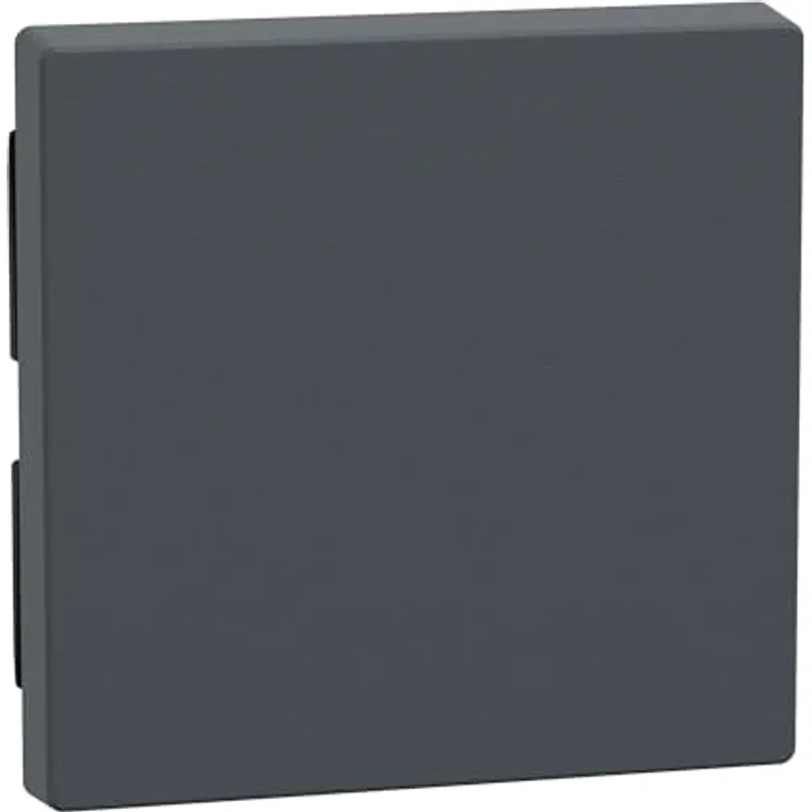 Schneider Electric Merten Wippe für System M, anthrazit, für Wechselschalter und Taster-Einsatz, Artikelnummer 433114