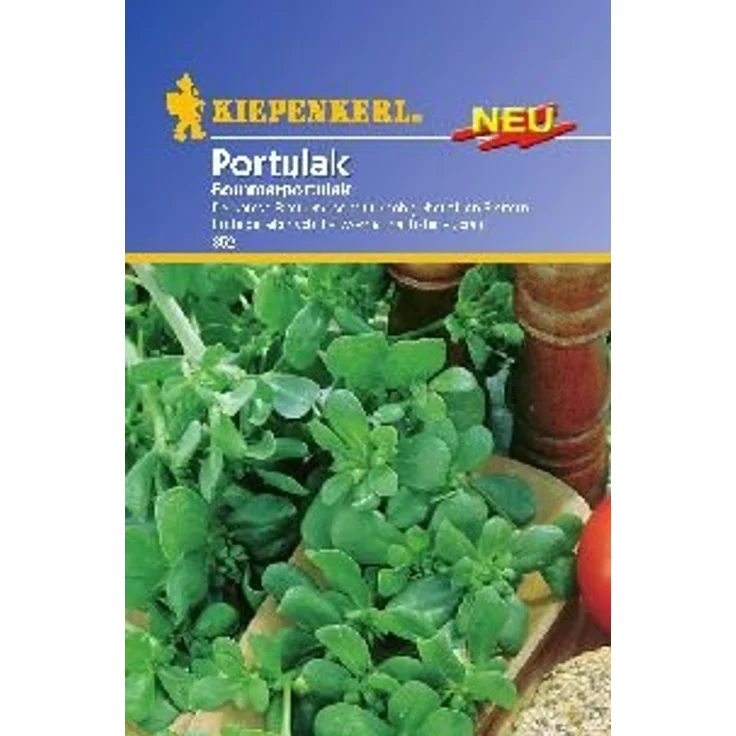 Kiepenkerl Portulak Sommerportulak – Bild 2