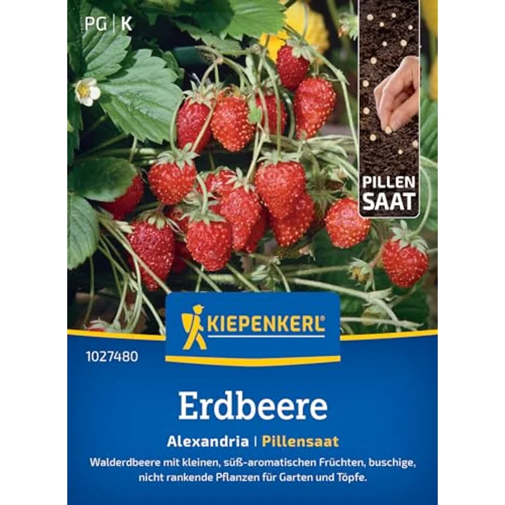 Kiepenkerl Profi-Line Obstsamen Erdbeere Alexandria, Fragaria vesca, 50 Stück für 25 Pflanzen, Erntezeit Mai – Bild 1