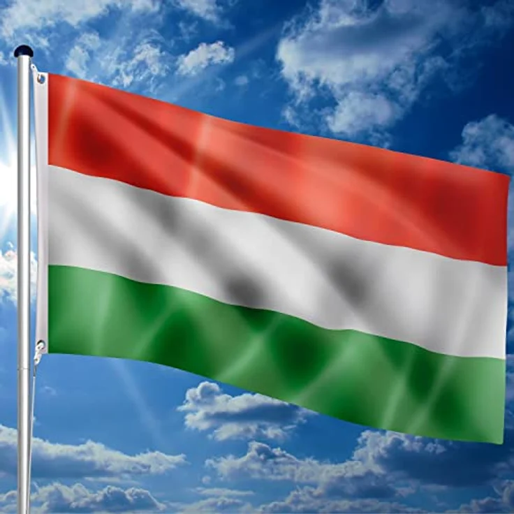FLAGMASTER Teleskop Fahnenmast Aluminium 6,50m, 5-fach höhenverstellbar, Komplettset mit 30 verschiedenen Fahnen zur Wahl und Bodenhülse – Bild 4