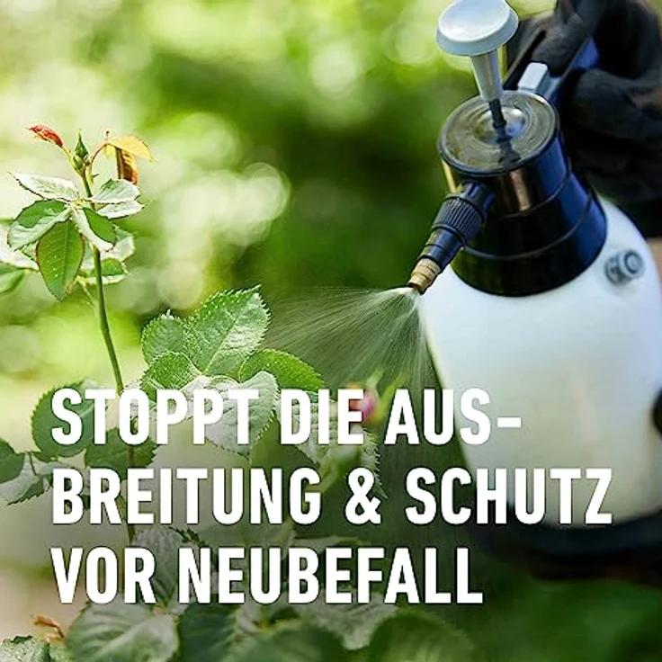 COMPO Duaxo® Universal Pilz-frei, 150 ml – Bild 6