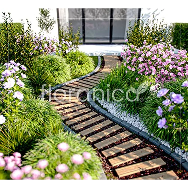 Floranica Gartenweg Rollweg Holztritt Gartentritt Garten Holz Holzweg Ausrollbarer Gartentritt Gartenrollwege Dekorative Holztritte aus Lärchenholz Länge in lfm, Breite 30 cm, Farbe: Unbehandelt – Bild 5