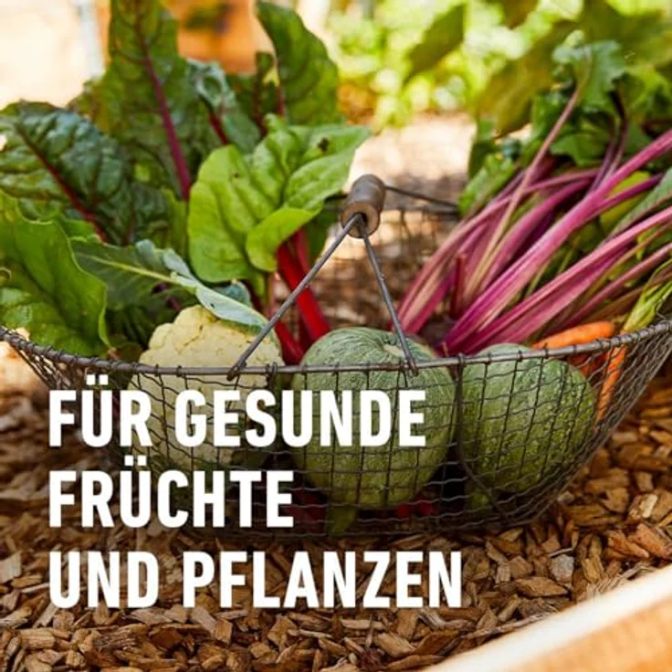 COMPO Bio Universal-Erde torffrei 20 Liter – Bild 6