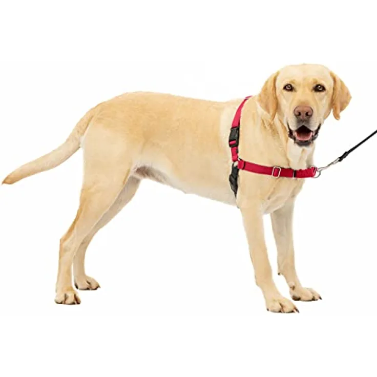 PetSafe Easy Walk Deluxe Geschirr (XL, Hund, Spazieren), Halsband + Leine