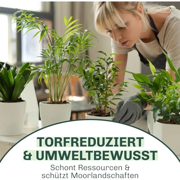 Blumixx Stauden Alchemilla sericata Gold Strike - Frauenmantel – Bild 6