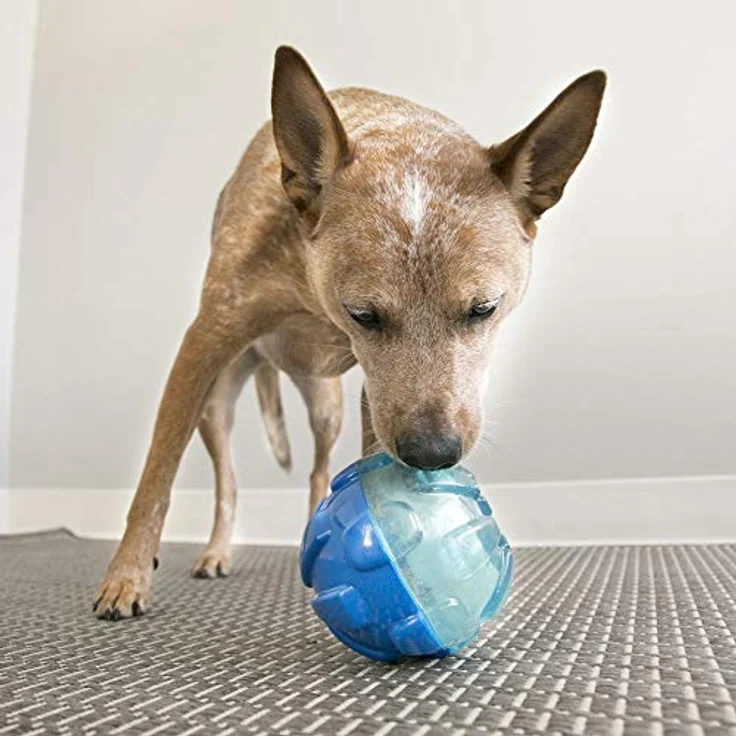KONG – Rewards Ball – Besonders Robuster Interaktiver Leckerlispender – Für Große Hunde - Preisvergleich – Bild 2